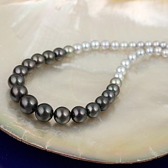 Ombré náhrdelník z mořských perel Ginan
