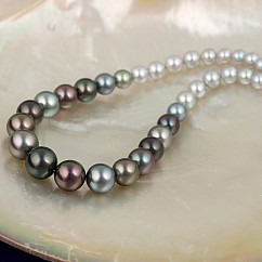 Ombré náhrdelník z mořských perel Gikichi