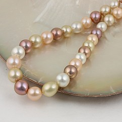Perlový náhrdelník South Sea Annabelle