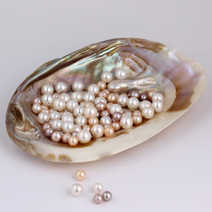 sladkovodní perlorodka s perlami